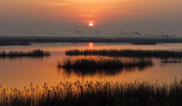 三角洲行动辅助购买(给我提供一个三角洲行动辅助购买链接) 三角洲行动辅助购买(给我提供一个三角洲行动辅助购买链接)