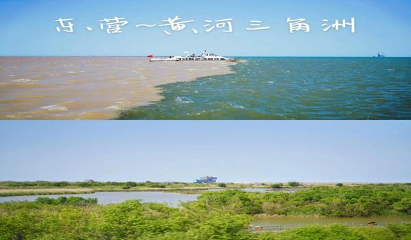 三角洲手机版枪械如何检视(三角洲手机版枪械检视按键是哪个?) 三角洲手机版枪械如何检视(三角洲手机版枪械检视按键是哪个?)